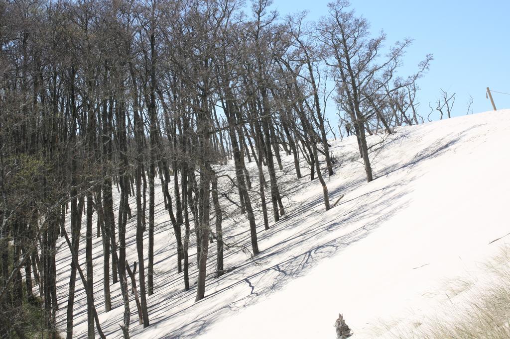 Villa Karo Łeba Exteriör bild